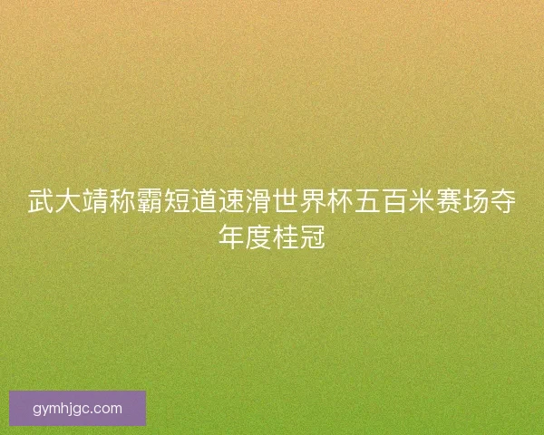 武大靖称霸短道速滑世界杯五百米赛场夺年度桂冠